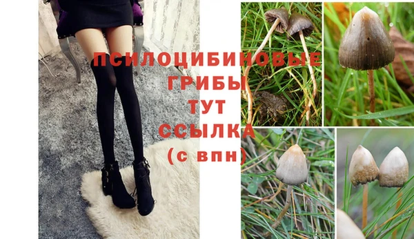 каннабис Киреевск